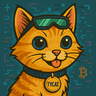 TYCAT